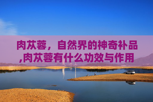 肉苁蓉，自然界的神奇补品,肉苁蓉有什么功效与作用