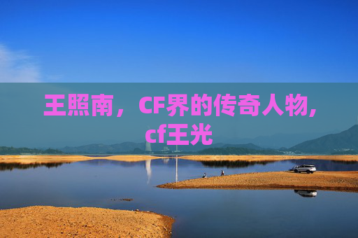 王照南，CF界的传奇人物,cf王光