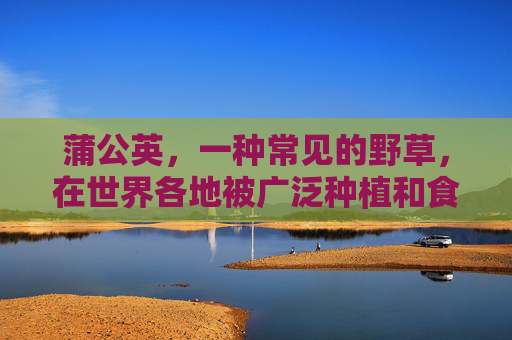 蒲公英，一种常见的野草，在世界各地被广泛种植和食用。它不仅因其美丽的花朵而受到人们的喜爱，还因其多种功效而备受推崇。本文将探讨蒲公英的几种主要功效，并讨论如何在日常生活中利用这些益处。,蒲公英有什么功效 能治什么病