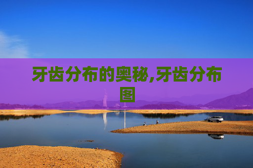 牙齿分布的奥秘,牙齿分布图