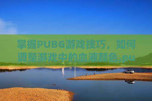 掌握PUBG游戏技巧，如何调整游戏中的血液颜色,pubg怎么改血的颜色2020