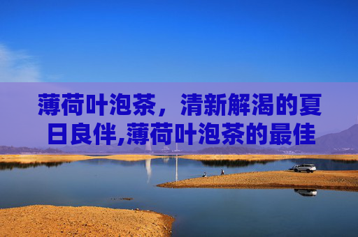 薄荷叶泡茶，清新解渴的夏日良伴,薄荷叶泡茶的最佳水温是多少