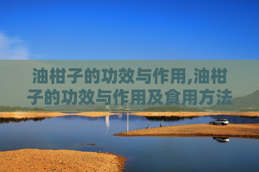 油柑子的功效与作用,油柑子的功效与作用及食用方法