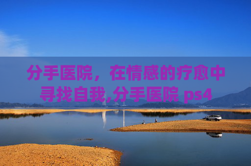 分手医院，在情感的疗愈中寻找自我,分手医院 ps4