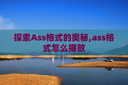 探索Ass格式的奥秘,ass格式怎么播放