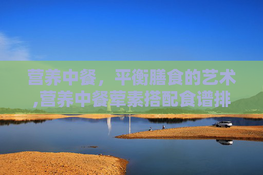 营养中餐，平衡膳食的艺术,营养中餐荤素搭配食谱排行榜