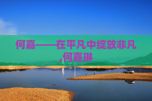 何嘉——在平凡中绽放非凡,何嘉琳