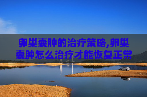 卵巢囊肿的治疗策略,卵巢囊肿怎么治疗才能恢复正常