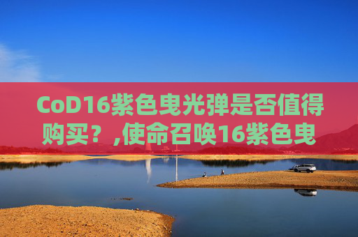 CoD16紫色曳光弹是否值得购买？,使命召唤16紫色曳光弹