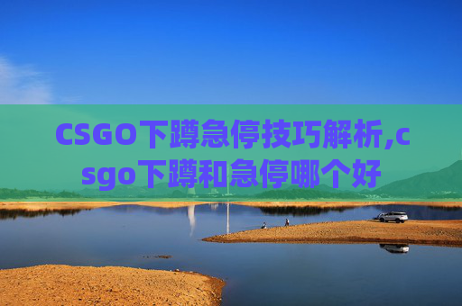 CSGO下蹲急停技巧解析,csgo下蹲和急停哪个好