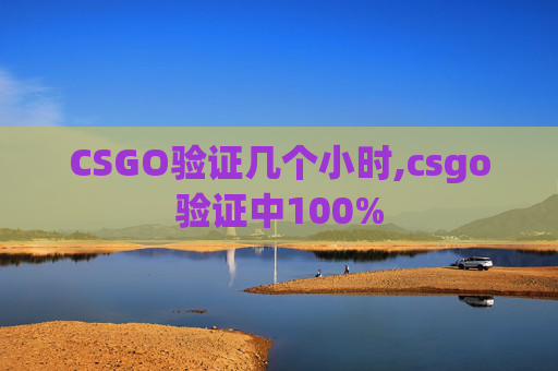 CSGO验证几个小时,csgo验证中100%