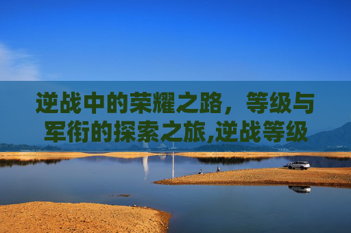 逆战中的荣耀之路，等级与军衔的探索之旅,逆战等级军衔表