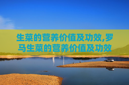 生菜的营养价值及功效,罗马生菜的营养价值及功效
