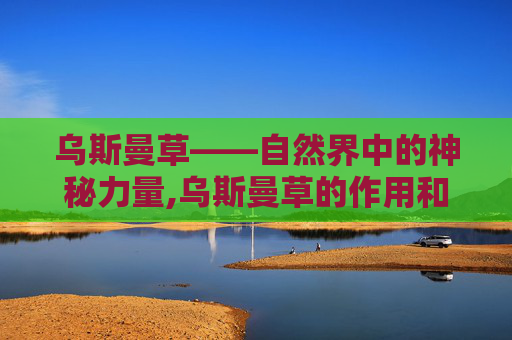 乌斯曼草——自然界中的神秘力量,乌斯曼草的作用和功效