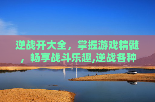 逆战开大全，掌握游戏精髓，畅享战斗乐趣,逆战各种模式