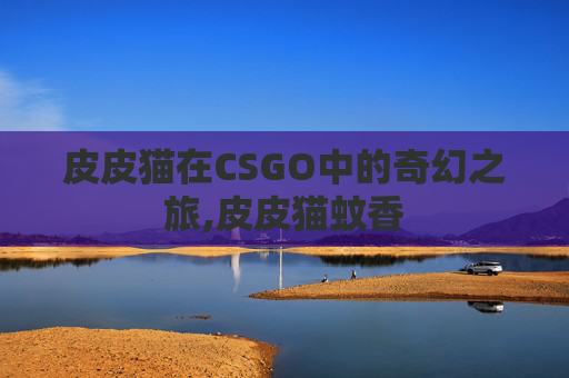 皮皮猫在CSGO中的奇幻之旅,皮皮猫蚊香