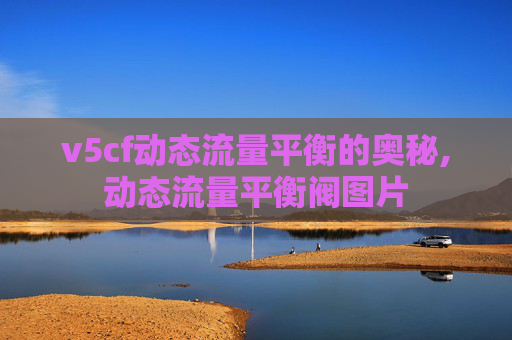 v5cf动态流量平衡的奥秘,动态流量平衡阀图片