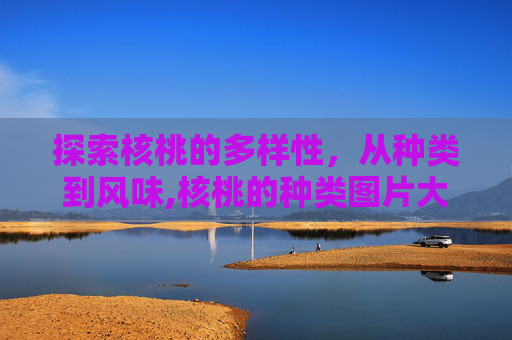 探索核桃的多样性，从种类到风味,核桃的种类图片大全