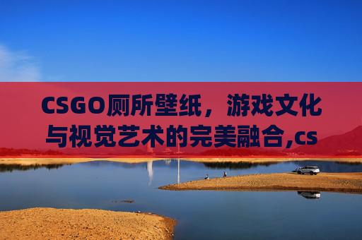 CSGO厕所壁纸，游戏文化与视觉艺术的完美融合,csgo壁纸超清