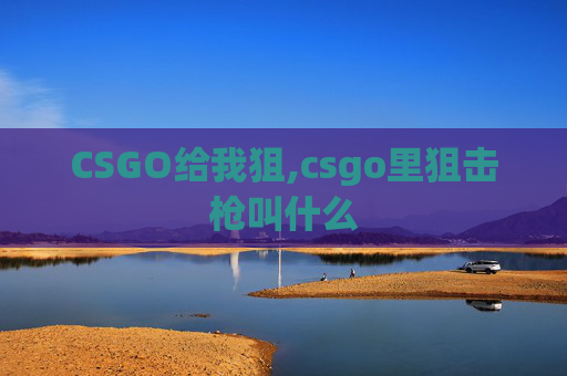CSGO给我狙,csgo里狙击枪叫什么