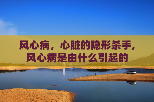 风心病，心脏的隐形杀手,风心病是由什么引起的
