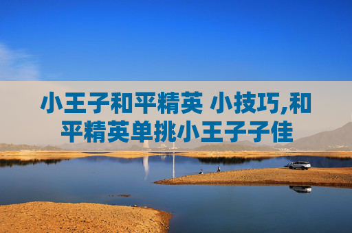 小王子和平精英 小技巧,和平精英单挑小王子子佳