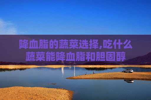降血脂的蔬菜选择,吃什么蔬菜能降血脂和胆固醇
