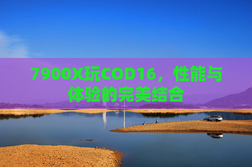 7900X玩COD16，性能与体验的完美结合