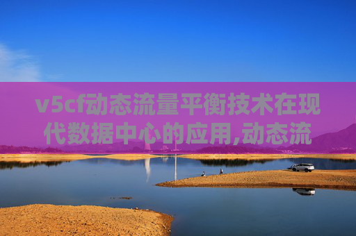 v5cf动态流量平衡技术在现代数据中心的应用,动态流量平衡阀安装示意图