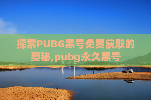 探索PUBG黑号免费获取的奥秘,pubg永久黑号