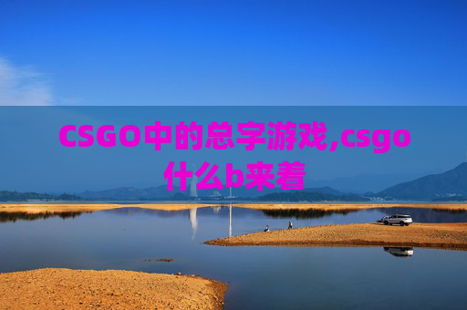 CSGO中的总字游戏,csgo什么b来着