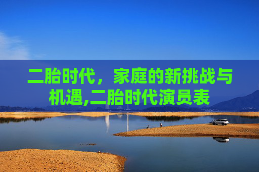 二胎时代，家庭的新挑战与机遇,二胎时代演员表