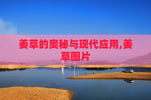 姜草的奥秘与现代应用,姜草图片