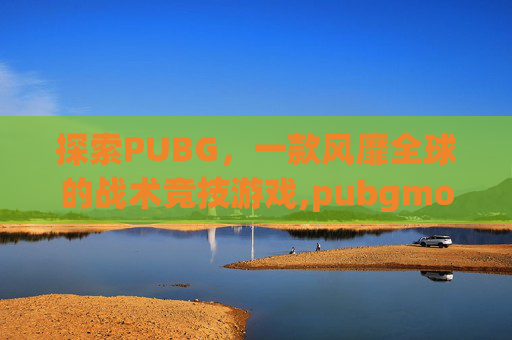 探索PUBG，一款风靡全球的战术竞技游戏,pubgmobile是什么游戏