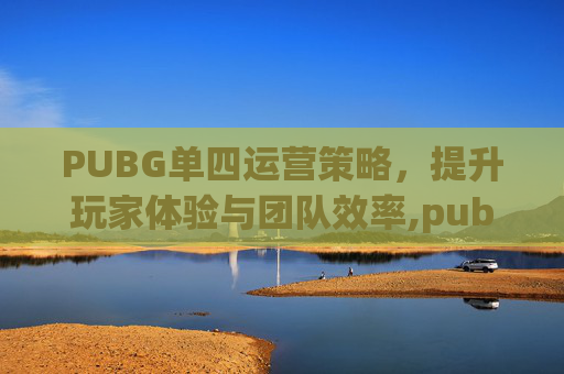 PUBG单四运营策略，提升玩家体验与团队效率,pubg运营是什么意思