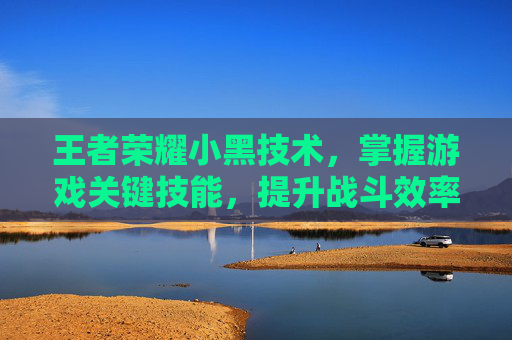 王者荣耀小黑技术，掌握游戏关键技能，提升战斗效率,王者荣耀小黑技术教学