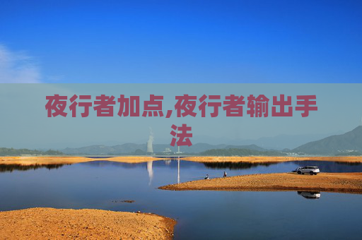 夜行者加点,夜行者输出手法