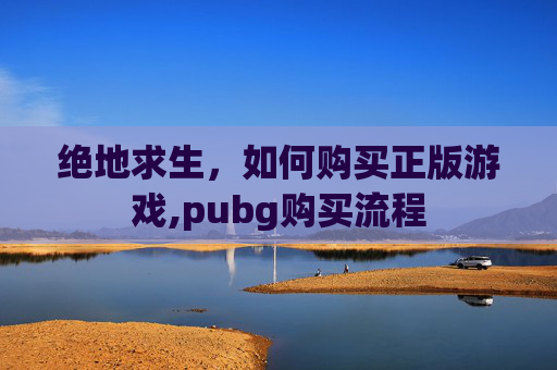 绝地求生，如何购买正版游戏,pubg购买流程