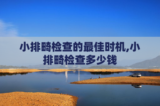 小排畸检查的最佳时机,小排畸检查多少钱