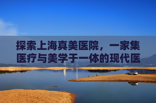探索上海真美医院，一家集医疗与美学于一体的现代医疗机构,上海真美医院子宫切除视频