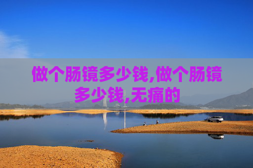 做个肠镜多少钱,做个肠镜多少钱,无痛的