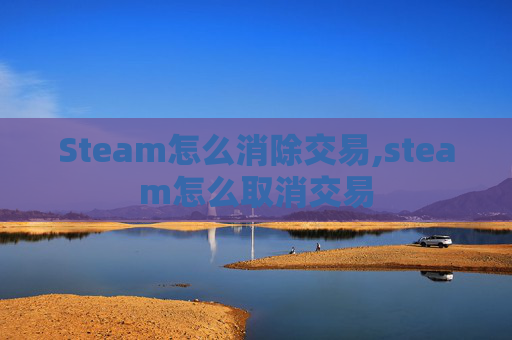 Steam怎么消除交易,steam怎么取消交易
