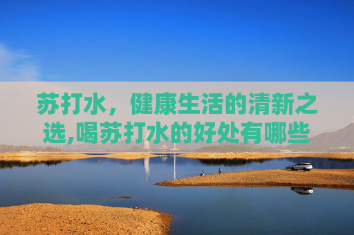 苏打水，健康生活的清新之选,喝苏打水的好处有哪些
