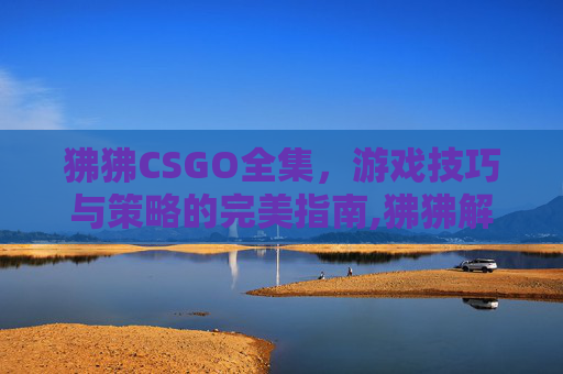 狒狒CSGO全集，游戏技巧与策略的完美指南,狒狒解说好看视频
