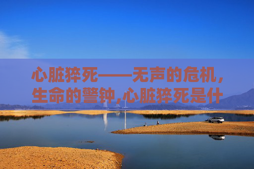 心脏猝死——无声的危机，生命的警钟,心脏猝死是什么原因造成的