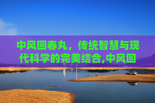 中风回春丸，传统智慧与现代科学的完美结合,中风回春丸功效作用与主治