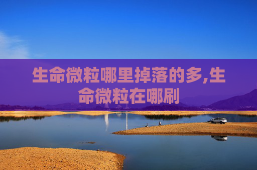 生命微粒哪里掉落的多,生命微粒在哪刷