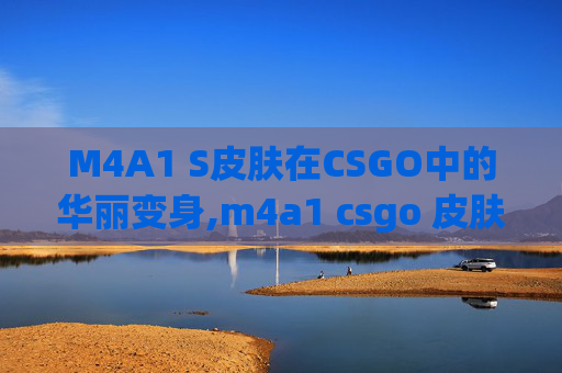 M4A1 S皮肤在CSGO中的华丽变身,m4a1 csgo 皮肤