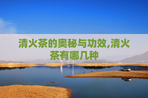 清火茶的奥秘与功效,清火茶有哪几种