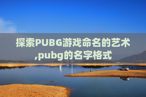 探索PUBG游戏命名的艺术,pubg的名字格式